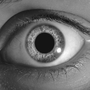 Logo du groupe Time is money